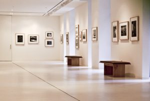 Go to the Museum, Virtually