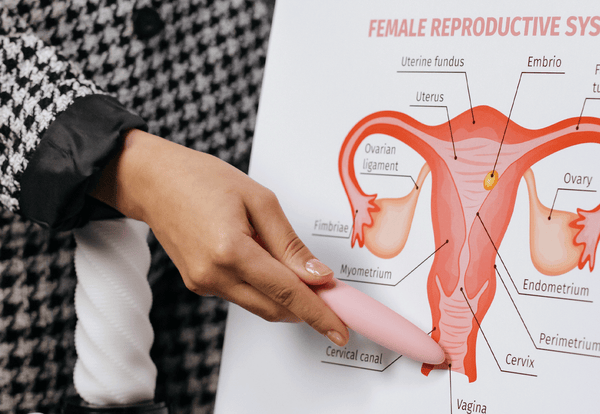 How Deep Is A Woman's Vagina?