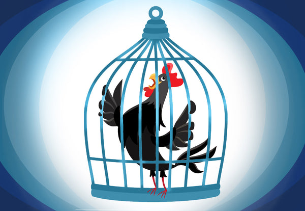 Cock Cages And Male Chastity Play For Couples