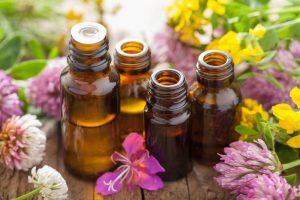 Finding the Right Scent