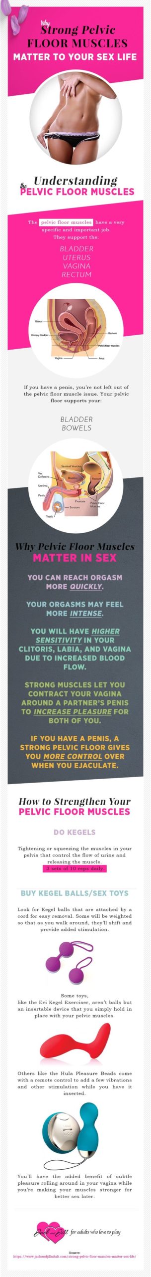 pelvic floor muscle and better sex infographic